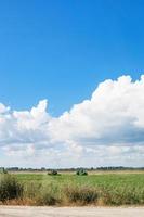 Landlandschaft mit Agrarfeld und blauem Himmel foto