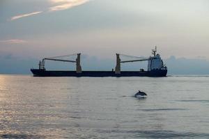 Delphin beim Springen im Meer bei Sonnenuntergang vor einem Schiff foto