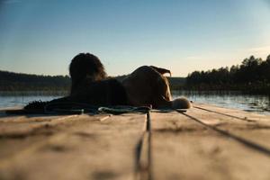 Hundeliebhaber liegen auf einem Steg und blicken auf den See in Schweden. goldendoodle und mischen foto