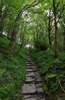 ikonische Nonnenschritte entlang einer Wanderung von Küste zu Küste foto