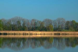 am Teich foto