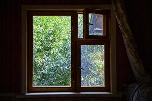 Blick vom Landhausfenster auf grünen Baum foto