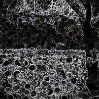 digitale Illustration abstrakte Bäume Zweige Hintergrund foto