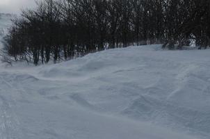 Blick auf die Winterlandschaft foto