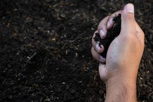 Hände halten den Boden mit Pflanzensamen. Naturfotos für Umwelt und Landwirte foto