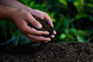 Hände halten den Boden mit Pflanzensamen. Naturfotos für Umwelt und Landwirte foto
