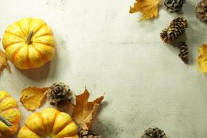 Herbsteckrand aus orangefarbenen und weißen Kürbissen. Falleckrand mit frostigen orangefarbenen Kürbissen auf einem rustikalen weißen Holzfahnenhintergrund. draufsicht mit kopierraum. foto