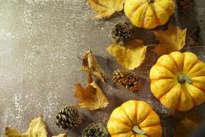 Herbsteckrand aus orangefarbenen und weißen Kürbissen. Falleckrand mit frostigen orangefarbenen Kürbissen auf einem rustikalen weißen Holzfahnenhintergrund. draufsicht mit kopierraum. foto