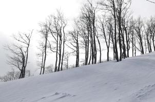 Blick auf die Winterlandschaft foto