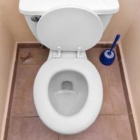 weiße Toilettenschüssel in einem Badezimmer