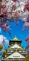 Landschaftsfoto der Burg Osaka im Frühling, wo noch einige Kirschblüten blühen. foto