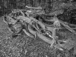 Wandern am Fluss in Westfalen foto