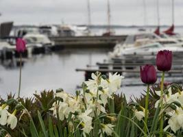 die Stadt Kristiansand in Norwegen foto