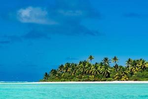 Kokospalme am Strand von Polynesien, wunderschöne Lagune foto