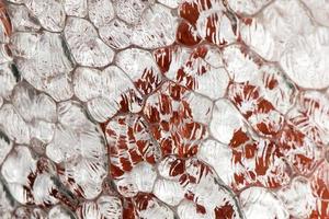 muranoglas hintergrund flüssige textur foto