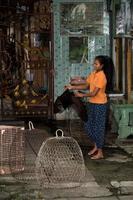 bali, indonesien - 13. august 2016 - foto mit tieren shop a flying fox close up portrait