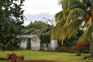 Kochinsel-Bungalowhaus in Polynesien foto