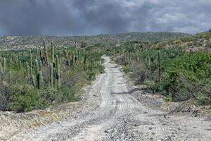 4x4 Offroad in Baja California Landschaftspanorama Wüstenstraße foto