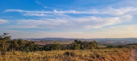 Eukalyptus-Plantagenfarm an sonnigen Tagen in Brasilien auf unbefestigter Straße foto