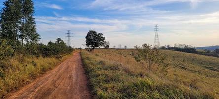 Ländliche Naturlandschaft im Inneren Brasiliens auf einer Eukalyptusfarm mitten in der Natur foto