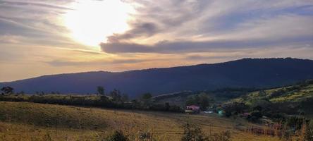 Ländliche Naturlandschaft im Inneren Brasiliens auf einer Eukalyptusfarm mitten in der Natur foto