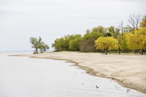 Sandstrand mit bunten Bäumen am Meer foto