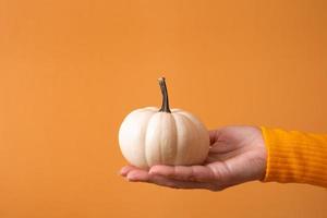 kreative Herbst-Stillleben-Komposition. weißer dekorativer Kürbis in weiblicher Hand foto