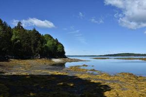 Küstenlinie einer Insel in Casco Bay Maine foto