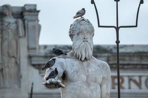 nahaufnahme von vögeln, die auf der berühmten neptunstatue und dem brunnen sitzen foto