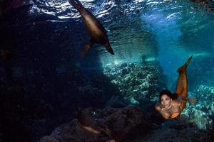 Meerjungfrau, die mit einem Siegel im tiefblauen Meer unter Wasser schwimmt foto