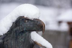 Kupferstatue des amerikanischen Adlers, die von Schnee bedeckt ist foto