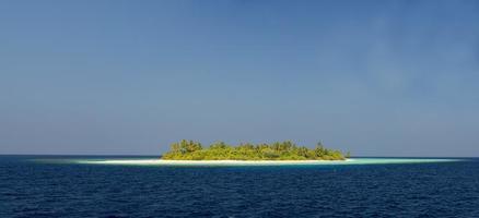 malediven tropischer paradiesstrand kristallklares wasser weißer sandstrand foto