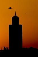 eine Storchsilhouette auf der Marrakesch-Moschee mit Blick auf den Sonnenuntergang foto