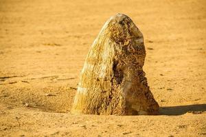 Pinnacles Park in Westaustralien foto