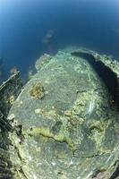 umbrien schiffswrack im roten meer foto