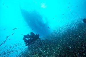 Glas fischt riesige Köderkugel, die sich unter Wasser bewegt foto