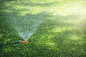 wassersprinkler, der das gras bewässert foto