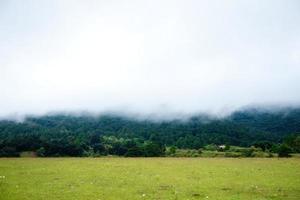 grüne landschaft in mexiko von bewaldeten gebieten mit nebel und kopierraum foto