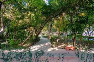 Alameda-Park in San Miguel de Allende foto