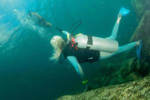 Schönes blondes Mädchen, das unter Wasser mit Seelöwen spielt foto