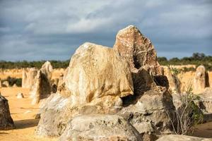 Pinnacles Park in Westaustralien foto