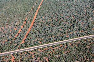 luftaufnahme der endlosen straße der westaustralischen wüste foto