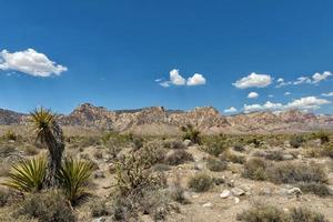 Arizona-Landschaftsansicht foto