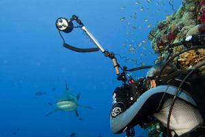 ein Scuba Divera Grey Shark Kiefer bereit, einen Fotografen Scuba Diver anzugreifen foto