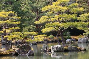 Japanischer Garten am berühmten Kinkakuji foto