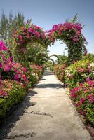 Garten mit Blumenherz Torbogen foto