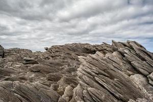 Vivonne Bay Kangaroo Island Landschaft foto