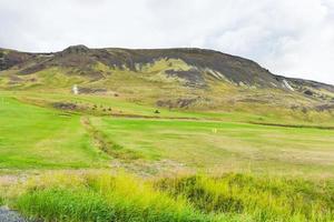Blick auf das grüne Tal in Hveragerdi, Island foto