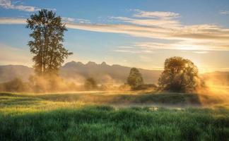 Jerry Sulina Park zur goldenen Stunde foto