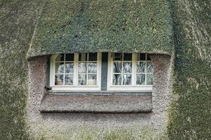 Grasfenster im Hobbit-Filmstil foto
